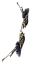 Arco Corvo de Aço+0