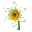 Narciso