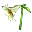 Lírio
