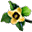 Flor de Caqui Medicinal