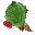 Árvore Sanpon Medicinal